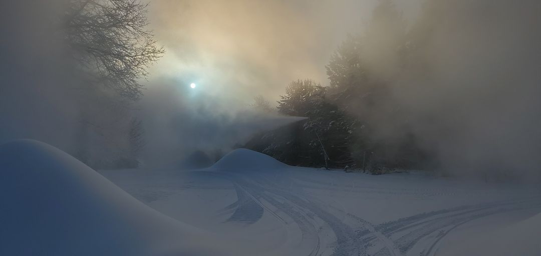Creating whales of snow